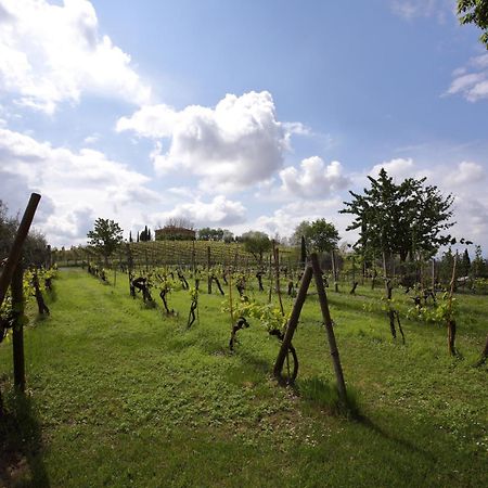 Podere Biagio Valiano Экстерьер фото